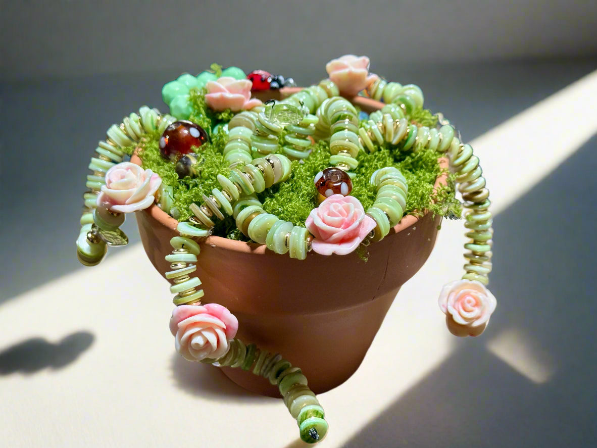 echeveria succulent plants Echeveria Pretty in Pink Little Fairy main image 1