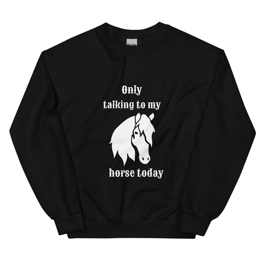 Only Talking to My Horse - Sweatshirt