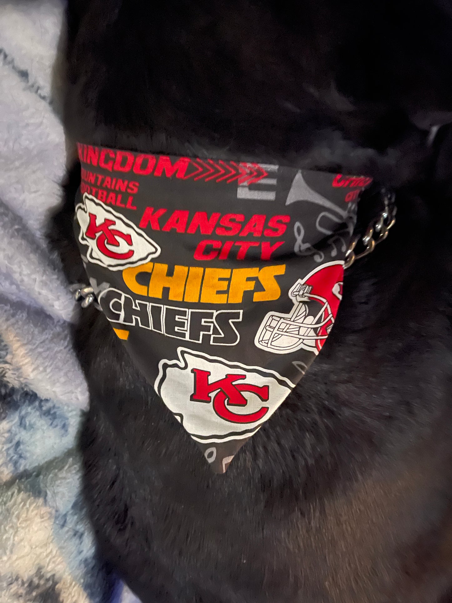 Handmade Pet Bandanas - Stretchy