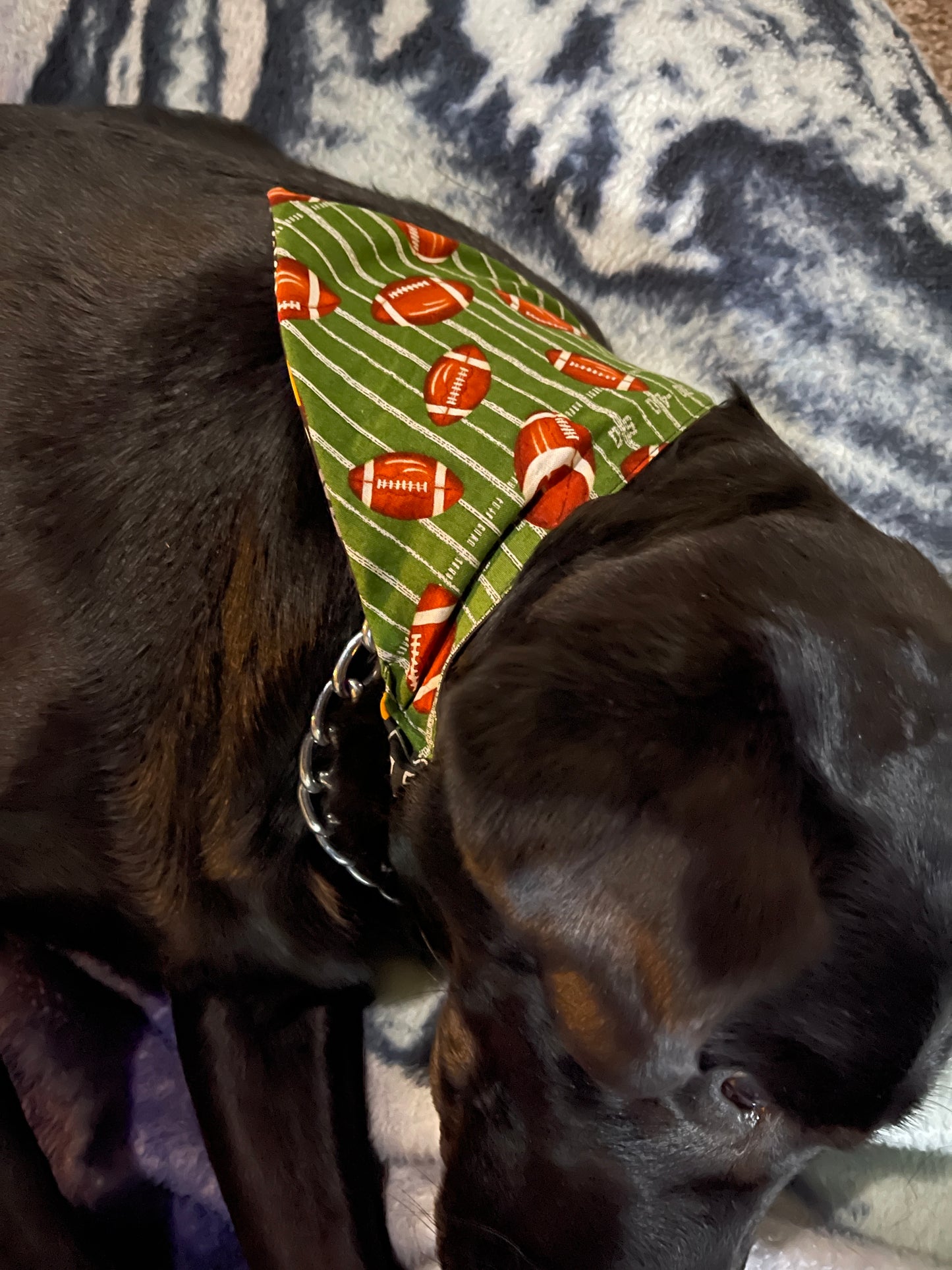 Handmade Pet Bandanas - Stretchy