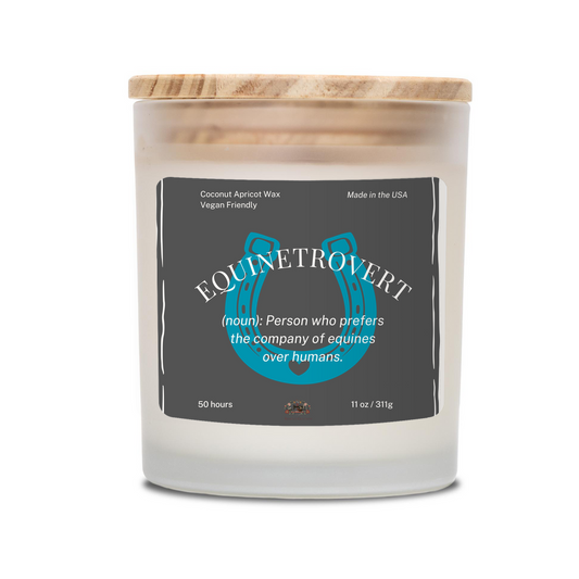 Equinetrovert Candle