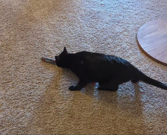 Handmade Catnip Spaz-Stik Kick Toy