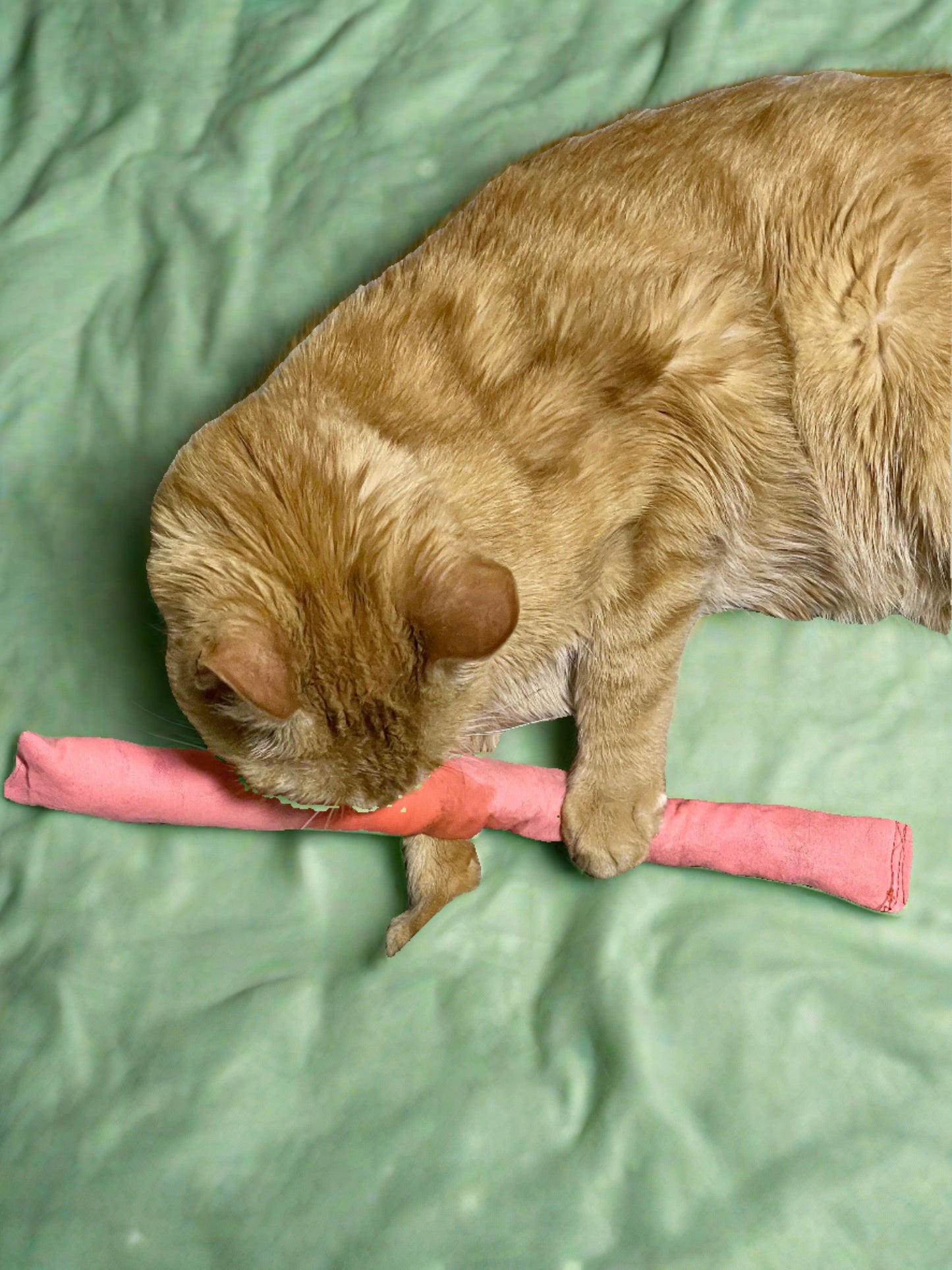 Handmade Catnip Spaz-Stik Kick Toy