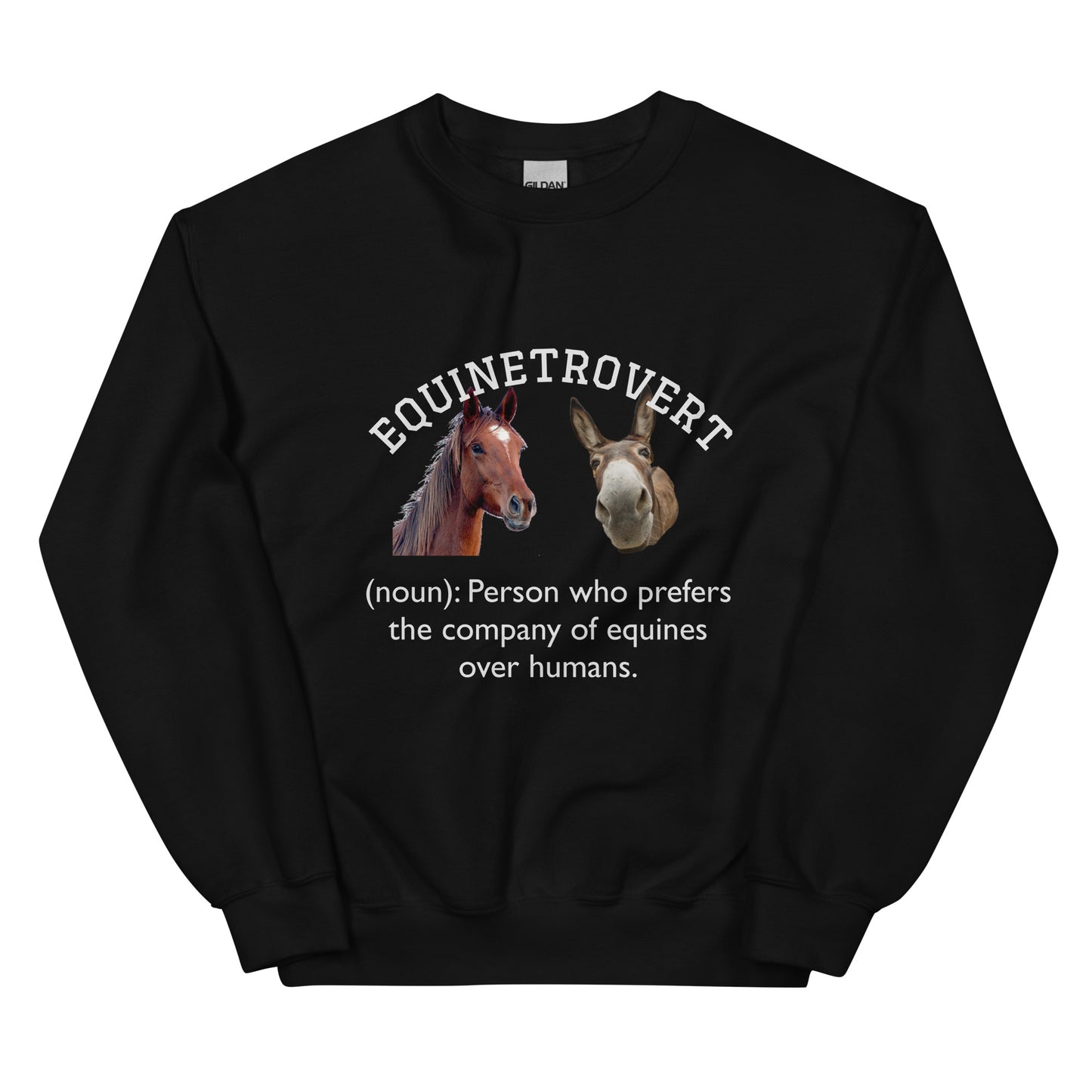 Equinetrovert - Unisex Sweatshirt