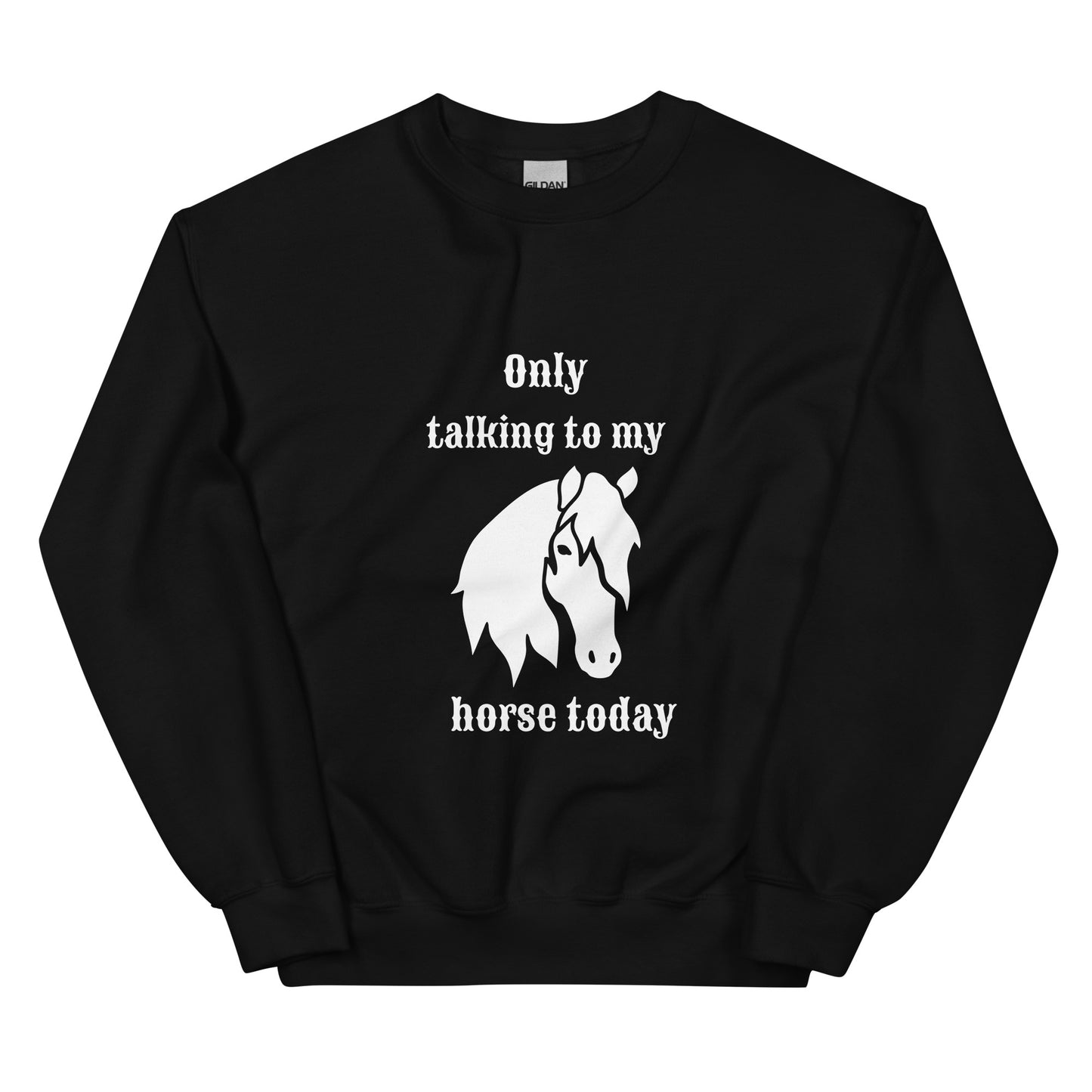 Only Talking to My Horse - Sweatshirt