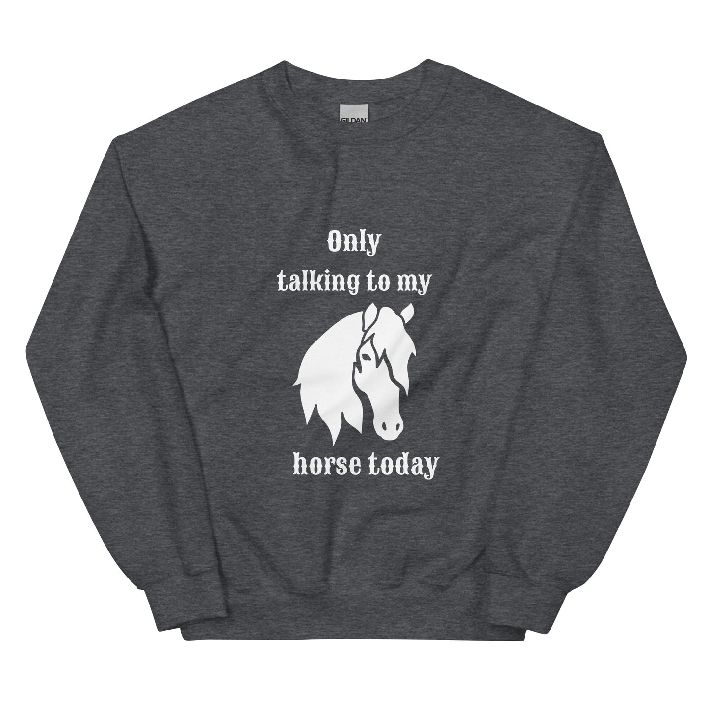 Only Talking to My Horse - Sweatshirt
