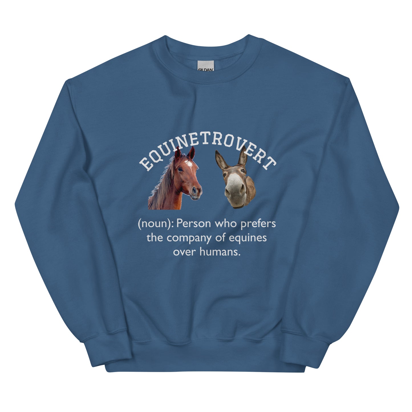 Equinetrovert - Unisex Sweatshirt