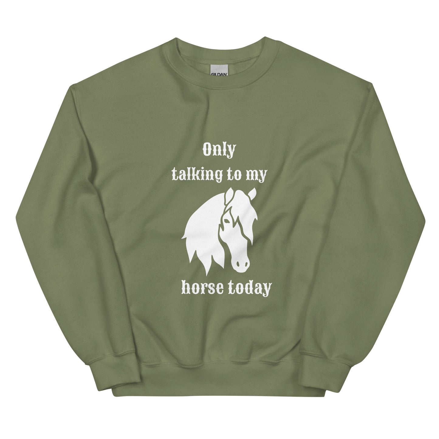 Only Talking to My Horse - Sweatshirt