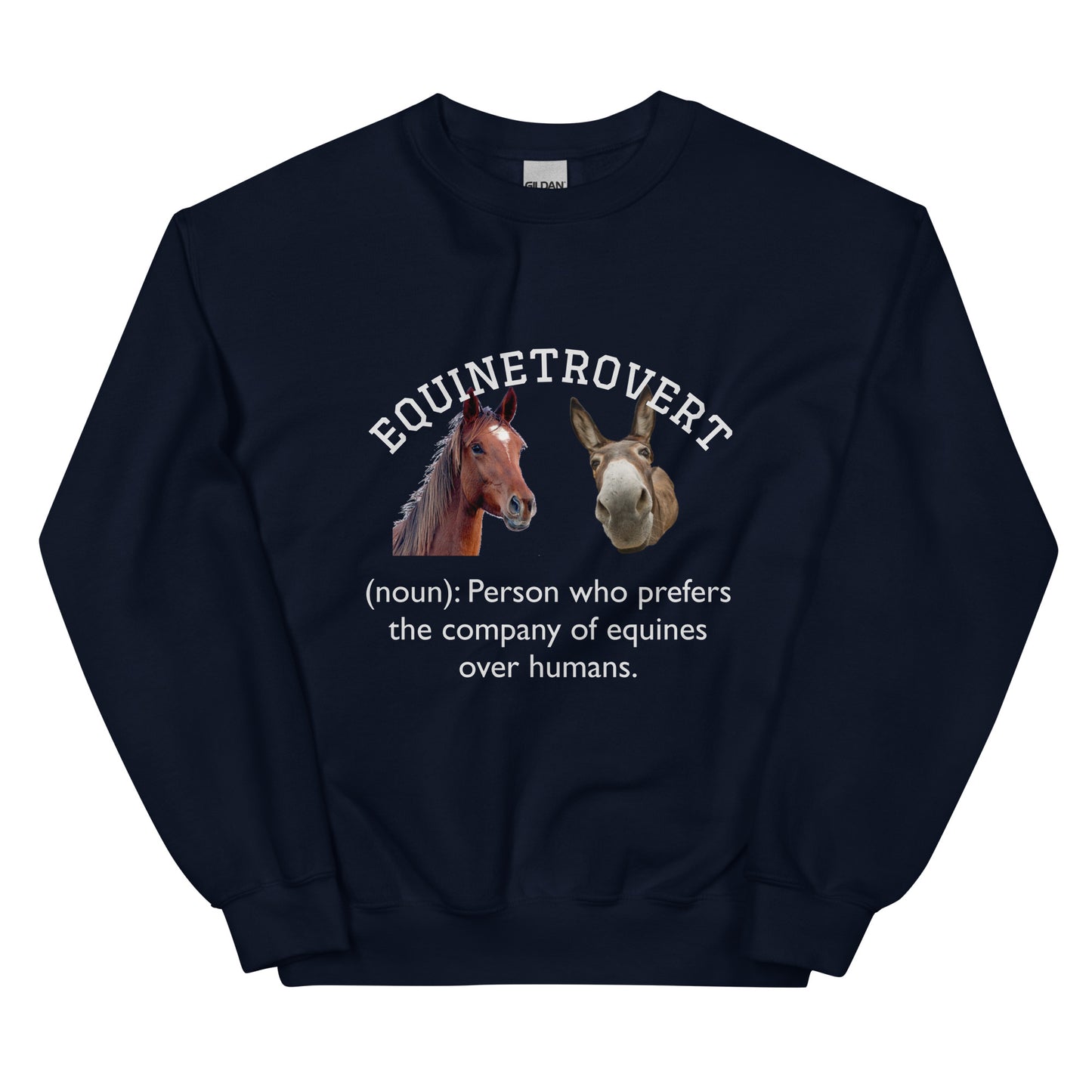 Equinetrovert - Unisex Sweatshirt