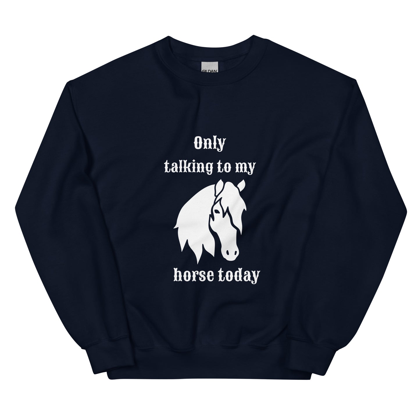 Only Talking to My Horse - Sweatshirt