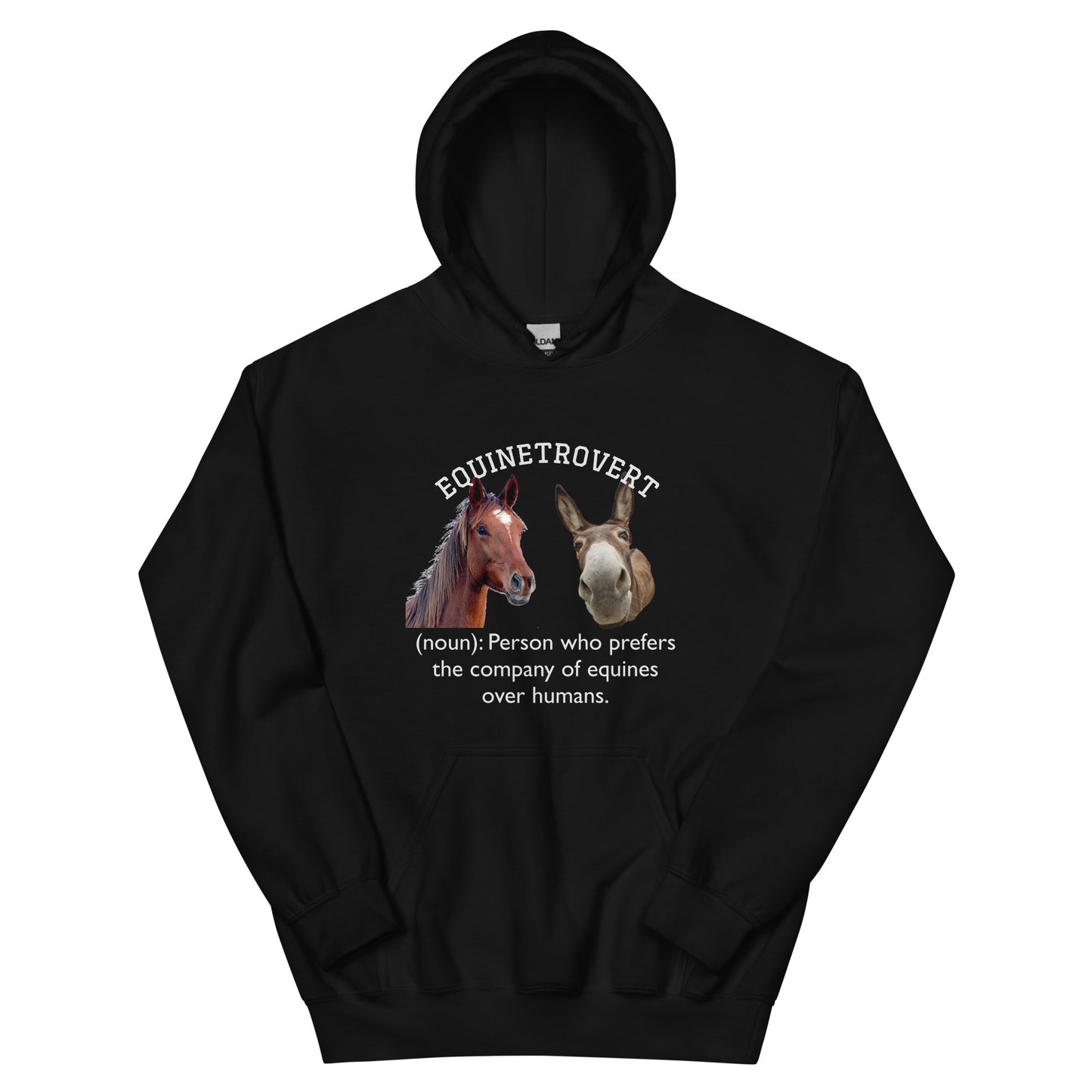 Equinetrovert - Unisex Hoodie