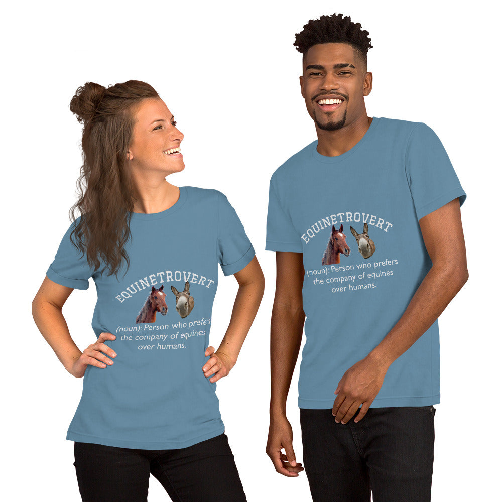 Equinetrovert - Unisex t-shirt